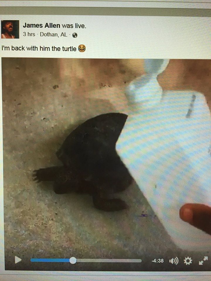Dothan Police Department posted this image of the alleged animal abuse/Facebook